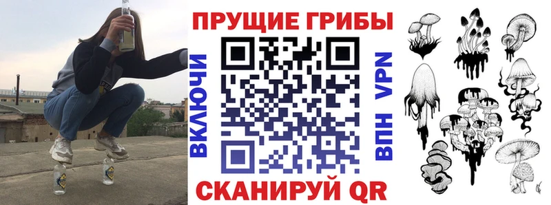 как найти наркотики  Анива  гидра рабочий сайт  Галлюциногенные грибы ЛСД 